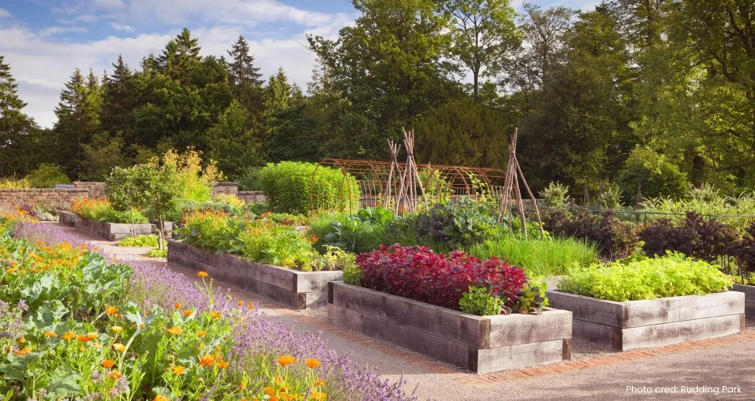 Concept art of future garden