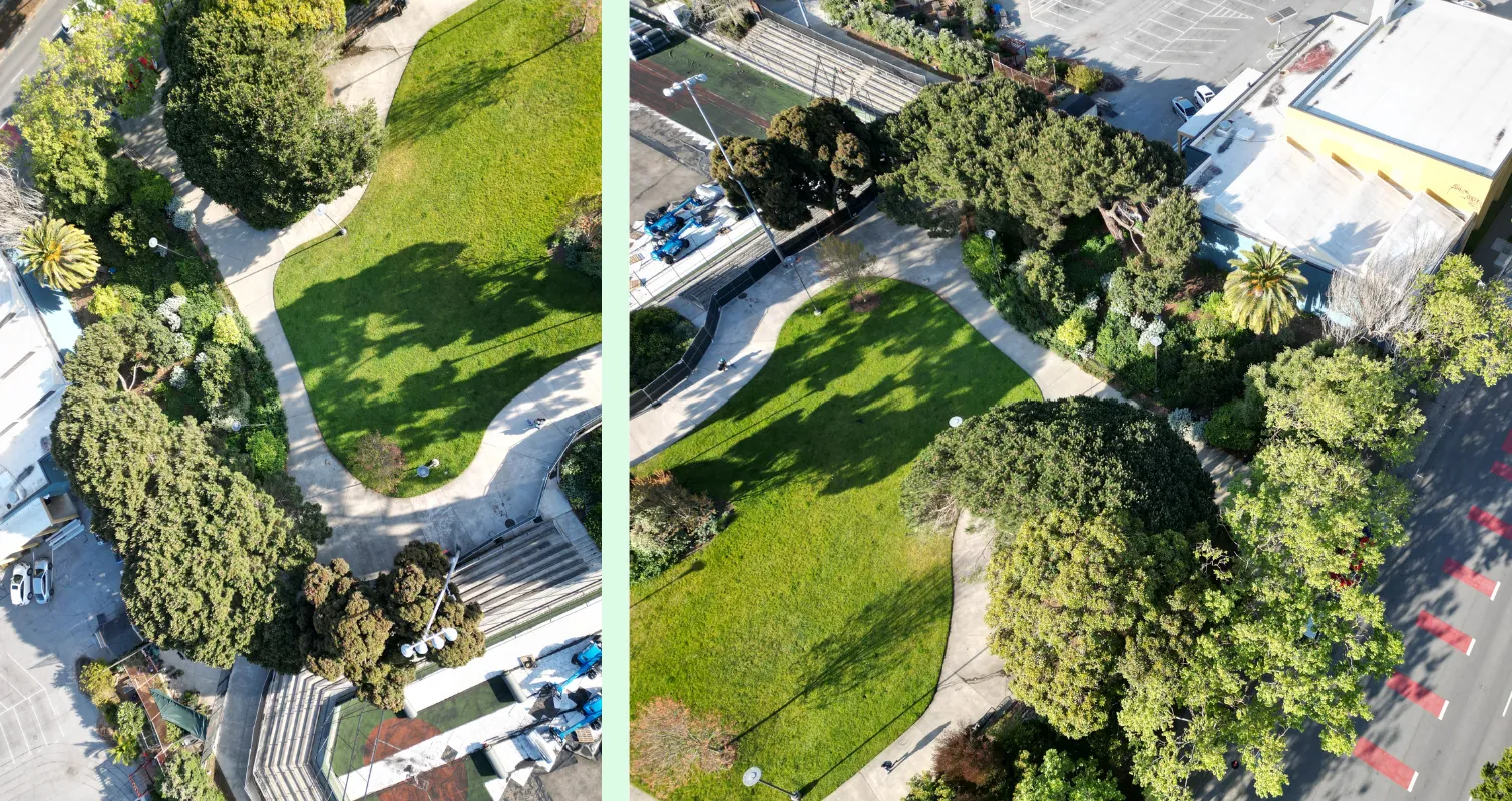 Outline of future garden site